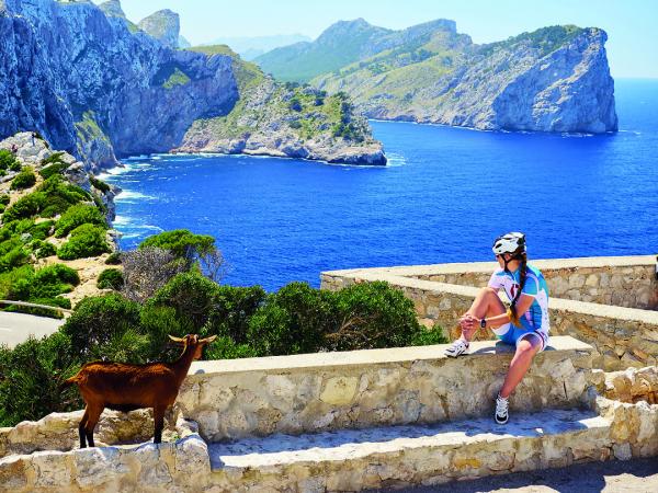 Coastal panoramic view with goat